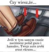 Фотография пользователя Patryk274