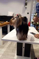 Фотография пользователя SkSk