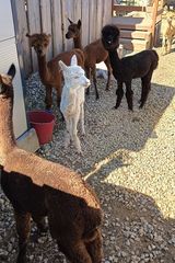 Fotos Zbigniew12234