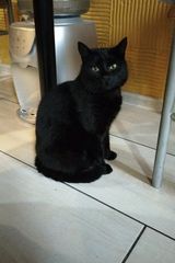 Benutzerfoto wl6072289