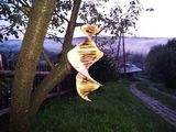 Foto utilizatorului PawelSmigiel1