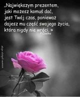 Benutzerfoto margheritasosenka