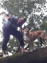 Foto pengguna wojkowskikamil05