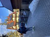 Zdjęcie użytkownika Lechii