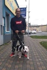 Zdjęcie użytkownika milkibalog2605