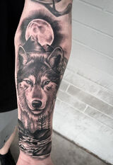 Zdjęcie użytkownika Siwykamil