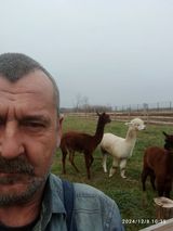 Фотография пользователя homajerzy433