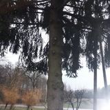 Zdjęcie użytkownika andrzejkozyrski91