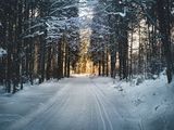 Zdjęcie użytkownika Wolfggg9gmailcom