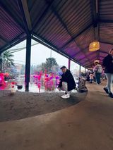 Photos MateuszCiesielski