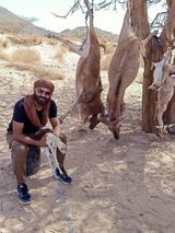 Фотография пользователя chaouchemedfouzi