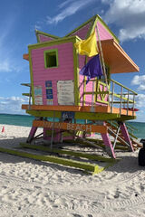 Foto utilizatorului Adamaikido