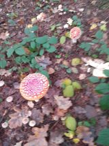 Zdjęcie użytkownika grzegorzburczyk750