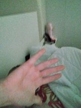 Benutzerfoto DawWik12