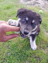 Benutzerfoto Kozakjes