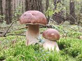 Foto pengguna michal7907