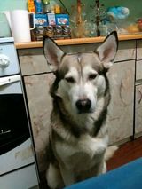 Zdjęcie użytkownika BrachaczekA