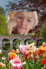 Foto pengguna Stryszyk