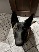 Foto utilizatorului XXshiloXX