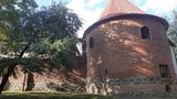 Benutzerfoto Dembekd