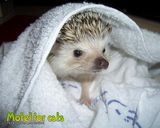 Fotos jcnhjeirj