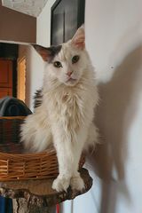Foto utilizatorului Konrad9356