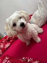 Benutzerfoto PatrykWachowiak