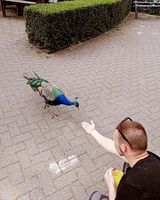 Фотография пользователя Dawdziorek