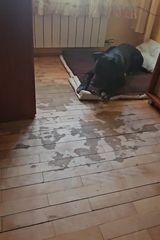 Foto pengguna gryzlikrakow