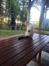 Фотография пользователя Xmen5555