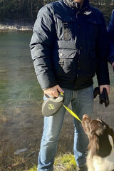 Фотография пользователя merc100