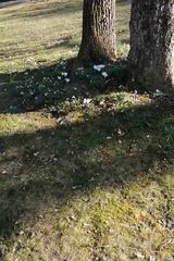 Zdjęcie użytkownika PiatekMo