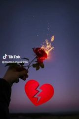 Фотография пользователя fotomek13