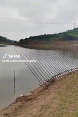 Zdjęcie użytkownika xoxoalegre69