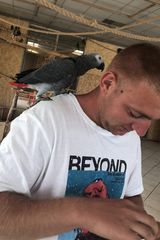 Fotos lewandowskilukas72
