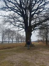 Фотография пользователя adam09101984