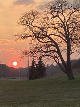 Foto utilizatorului cbrrfbk5yx
