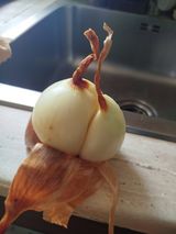 Foto pengguna PatRykJestOK