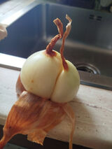 Фотография пользователя PatRykJestOK