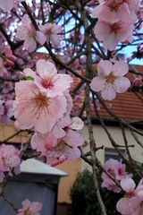 Benutzerfoto Marioo36