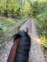 Foto utilizatorului SupeerMarioo