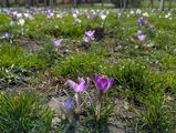 Фотография пользователя agaopole1231977