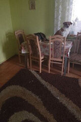 Zdjęcie użytkownika basiamariamyslak51