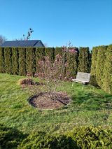 Benutzerfoto jarekzbroniec