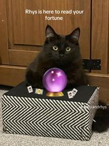 Фотография пользователя MeowMeow606