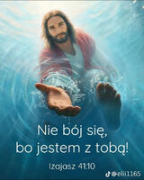 Фотография пользователя SantanaKr