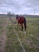 Foto pengguna SobowcewPa