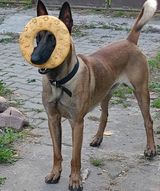 Foto utilizatorului Karolek37