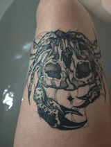 Фотография пользователя Nimessa