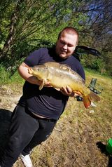 Photos bobinho